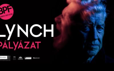 LYNCH PÁLYÁZAT